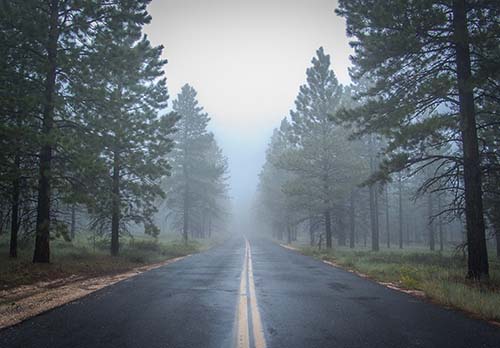 Bryce Canyon in the Fog